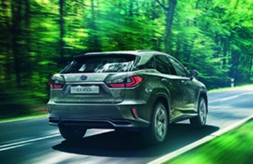 В честь весеннего праздника Наурыз