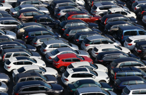 Гибрид: пересаживаться или нет